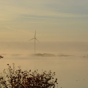 Wittensee Schleswig-Holstein...... Jürgen Herborn